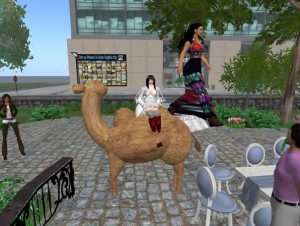 Do camels belong in the English Language clasroom? Photo by Ling Markstein